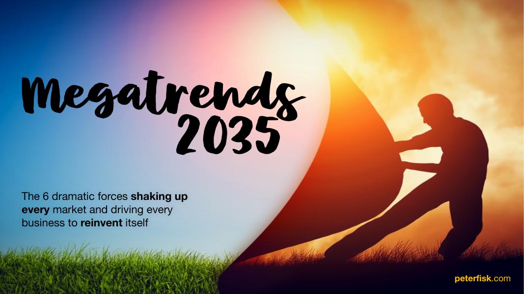 Peter Fisk：2035年超级趋势报告：重塑市场与商业的六大颠覆性力量（英文版）