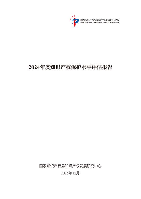 国家知识产权局：2024年度知识产权保护水平评估报告海报