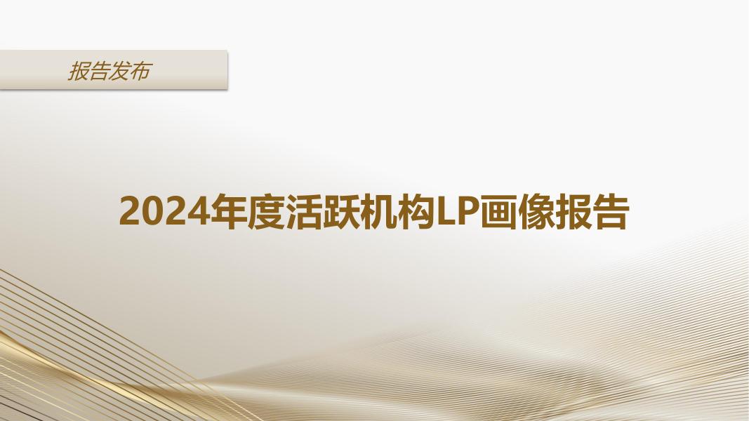 LP投顾：2024年度活跃机构LP画像报告（简版）