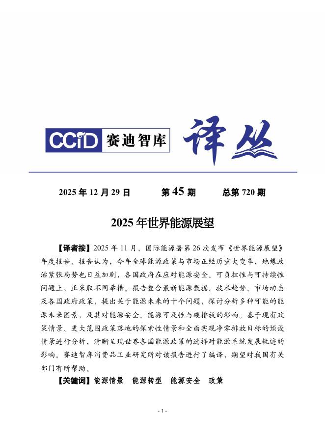 赛迪译丛：2025年第45期（总第720期）：2025年世界能源展望