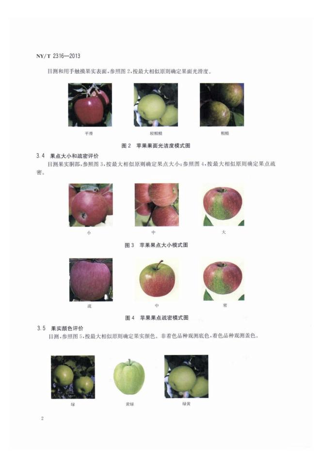 NY/T 2316-2013 标准预览