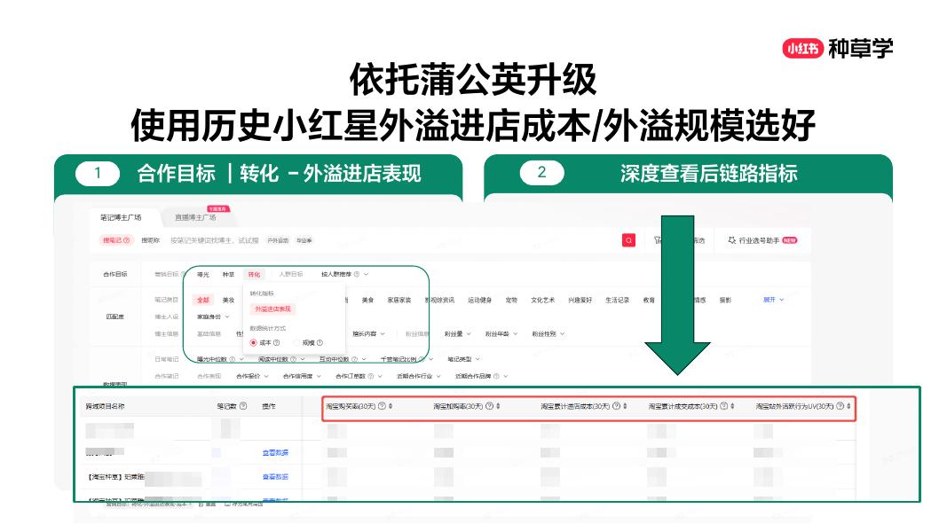 小红书：珀莱雅红宝石面霜，小红星搜索打开「抗老红海」新机会_第7页
