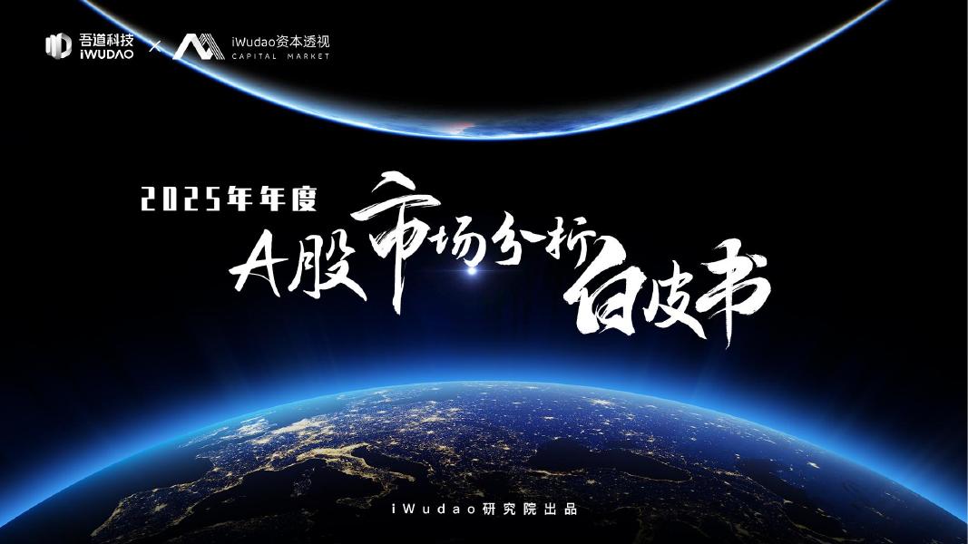 吾道科技：2025年A股市场分析白皮书