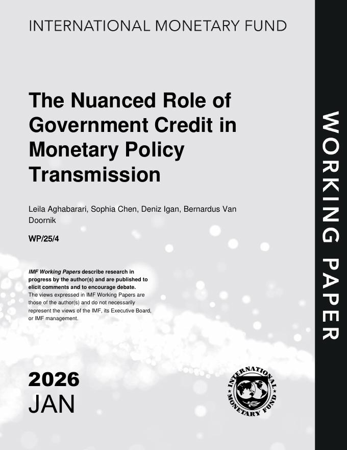 国际货币基金组织：政府信用在货币政策传导中的强化作用（英文版）