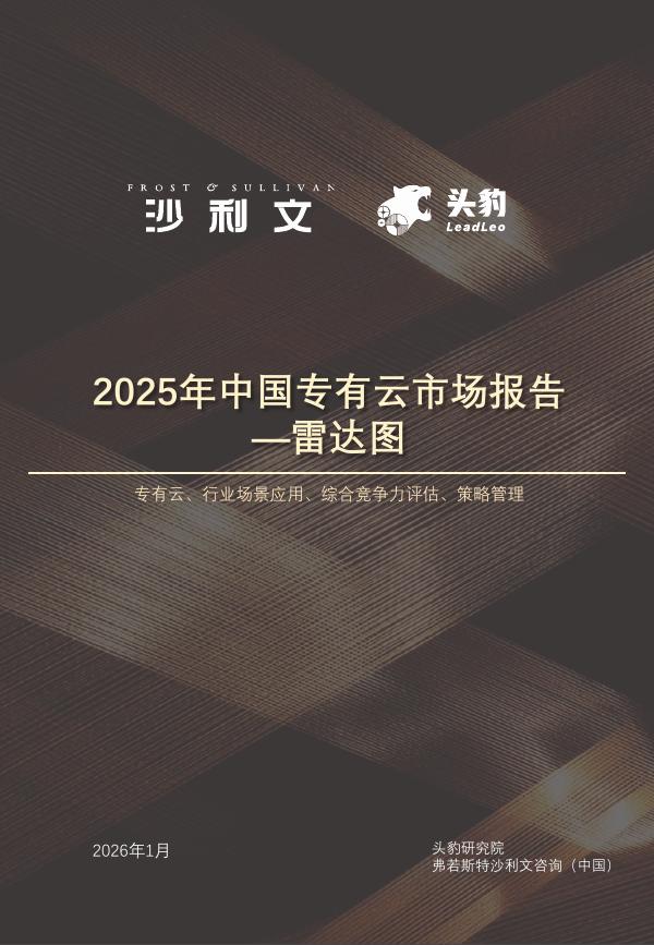 沙利文：2025中国专有云市场报告-雷达图