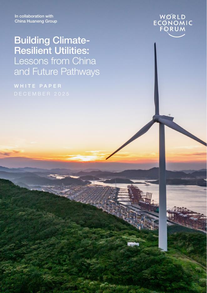 世界经济论坛：2025年建设气候适应性公用事业：来自中国的经验与未来路径报告（英文版）