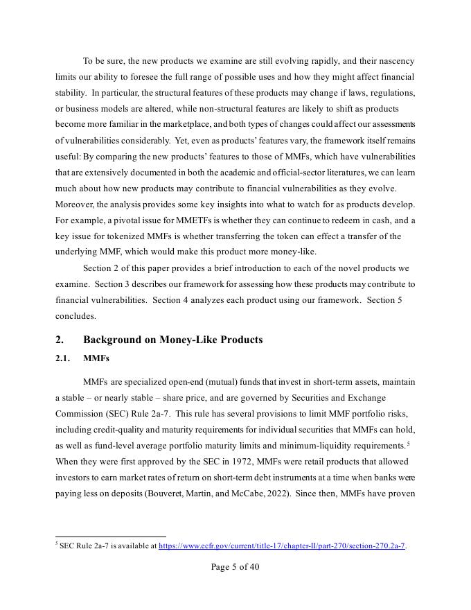 美联储：理解新货币类产品漏洞的框架（英文版）_第6页