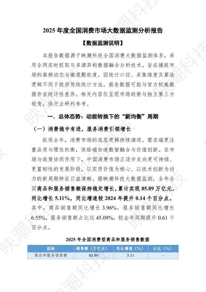 映潮科技：2025年度全国消费市场大数据监测分析报告海报