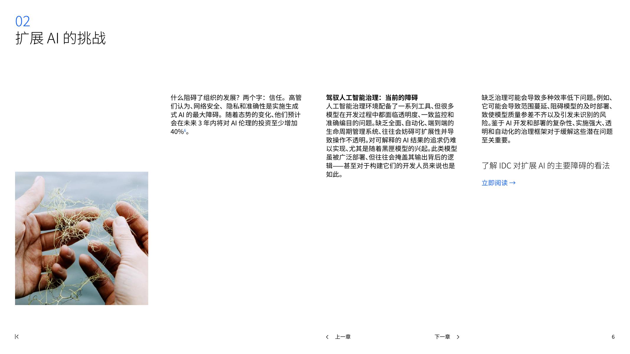 IBM商业价值研究院：2026年商用AI：通过更智能的治理、最大化AI投资回报率报告_第6页