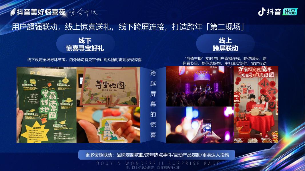 美好惊喜夜项目方案_第8页