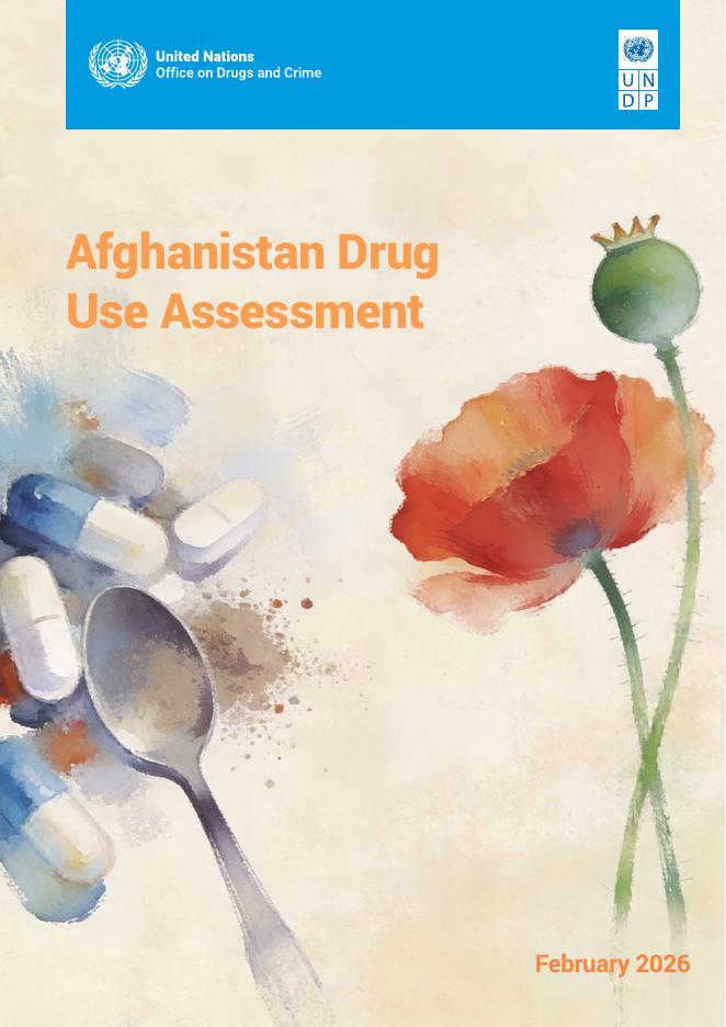 UNODC：2026年阿富汗毒品使用评估报告（英文版）海报