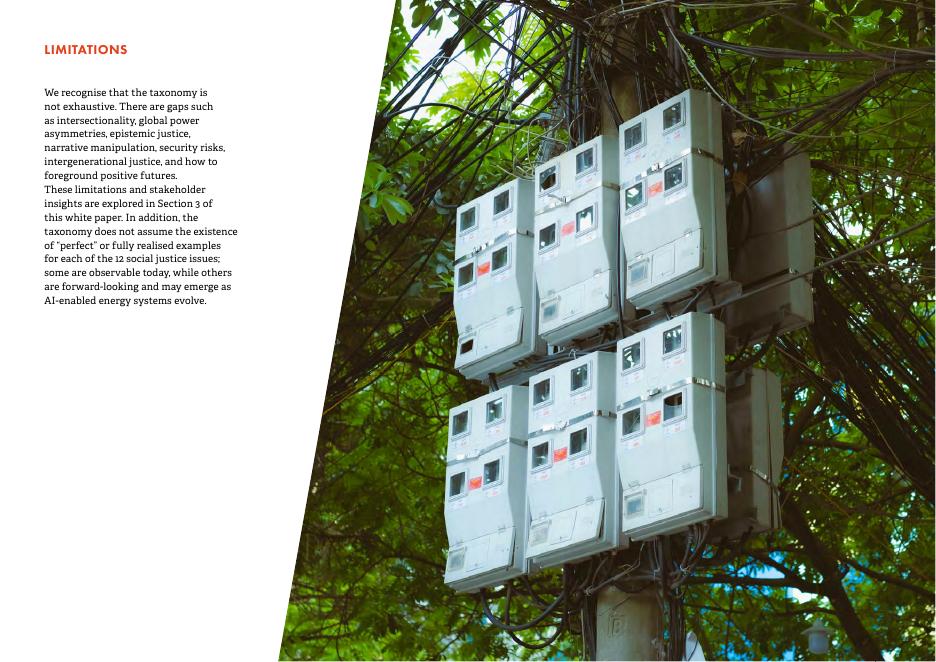 Forum for the Future：2026年人工智能与能源转型中的社会正义白皮书（英文版）_第7页