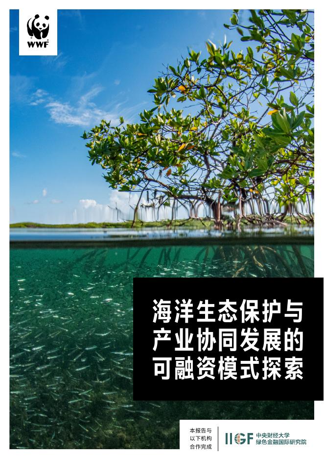 WWF世界自然基金会：2026年海洋生态保护与产业协同发展的可融资模式探索报告海报