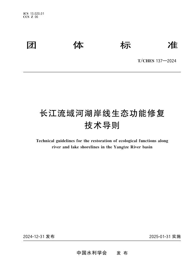 T/CHES 137-2024 标准预览