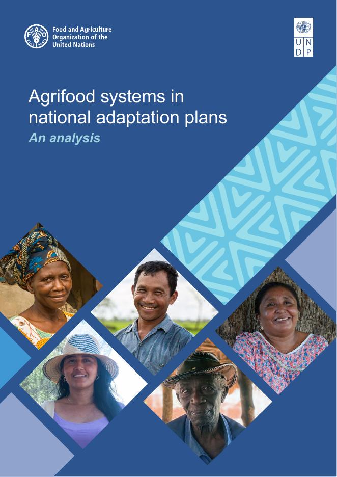 联合国开发计划署UNDP：2025年国家适应计划中的农业粮食系统分析报告（英文版）