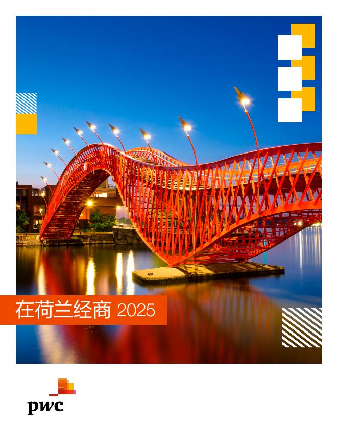 普华永道：2025年在荷兰经商报告海报