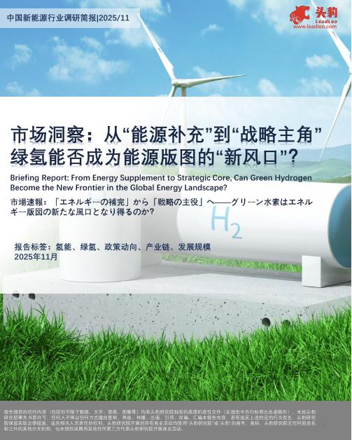 头豹研究院：氢能：市场洞察：从“能源补充”到“战略主角”绿氢能否成为能源版图的“新风口”？海报