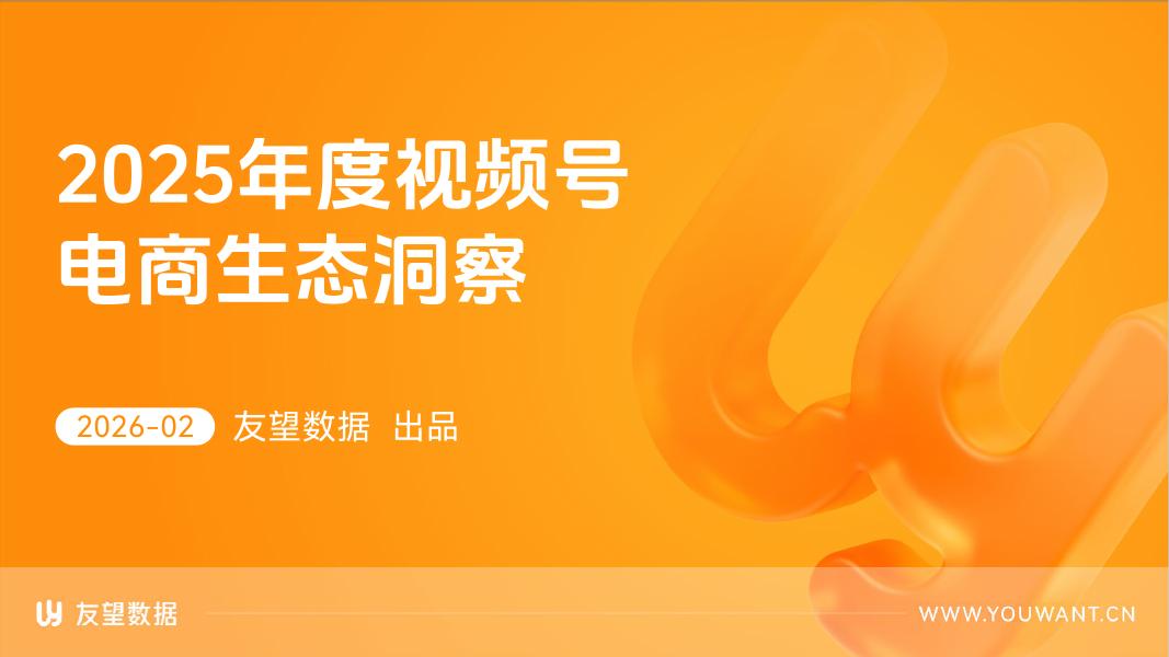友望数据：2025年度视频号电商生态洞察报告海报