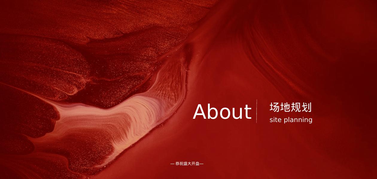 地产项目盛大开盘（时代为幕·启序新章主题）活动策划方案_第7页