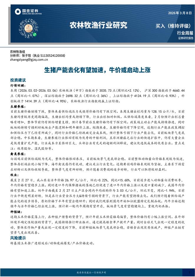 国金证券：农林牧渔行业研究：生猪产能去化有望加速，牛价或启动上涨海报