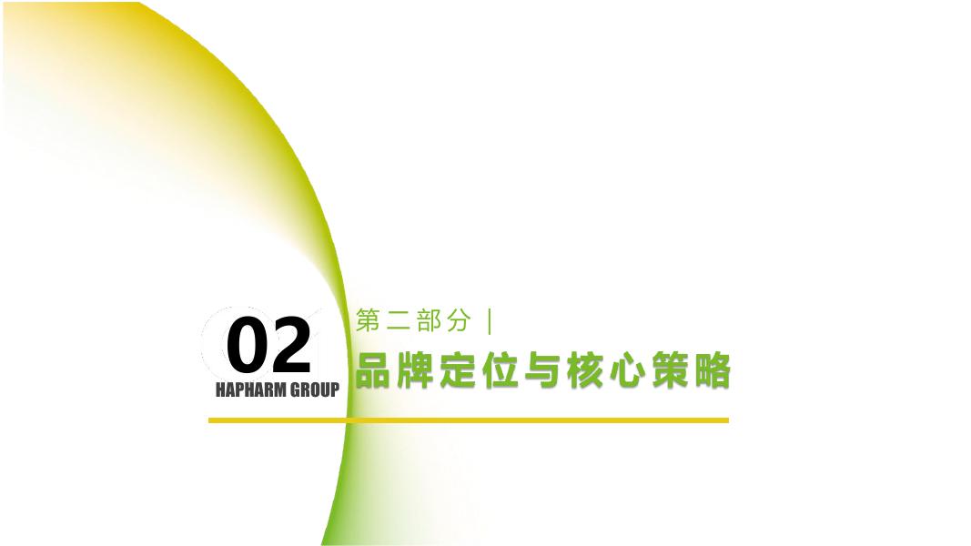 哈药集团：2026年品牌传播规划方案_第6页