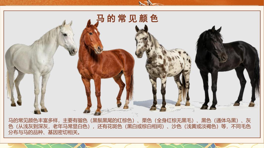 马年马到成功创意企业文化日活动方案_第10页