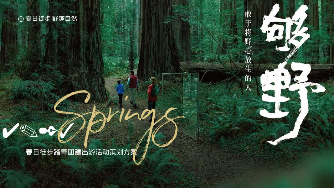 春日徒步踏青团建出游活动策划方案（春日徒步 野趣自然）海报