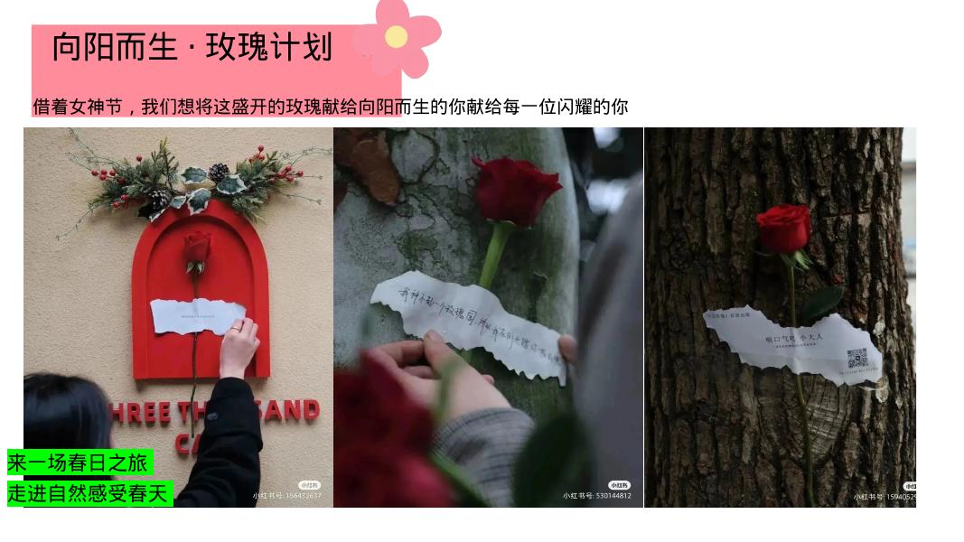 2026商业地产女神节花花计划（致闪闪发光的她主题）活动策划方案_第9页
