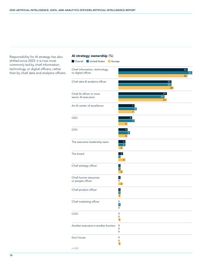 HEIDRICK & STRUGGLES：2025年人工智能、数据与分析高管调研：AI洞察报告（英文版）_第10页