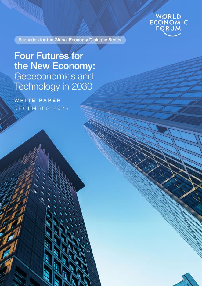 世界经济论坛：新经济的四种未来：2030年的地缘经济与技术格局（英文版）