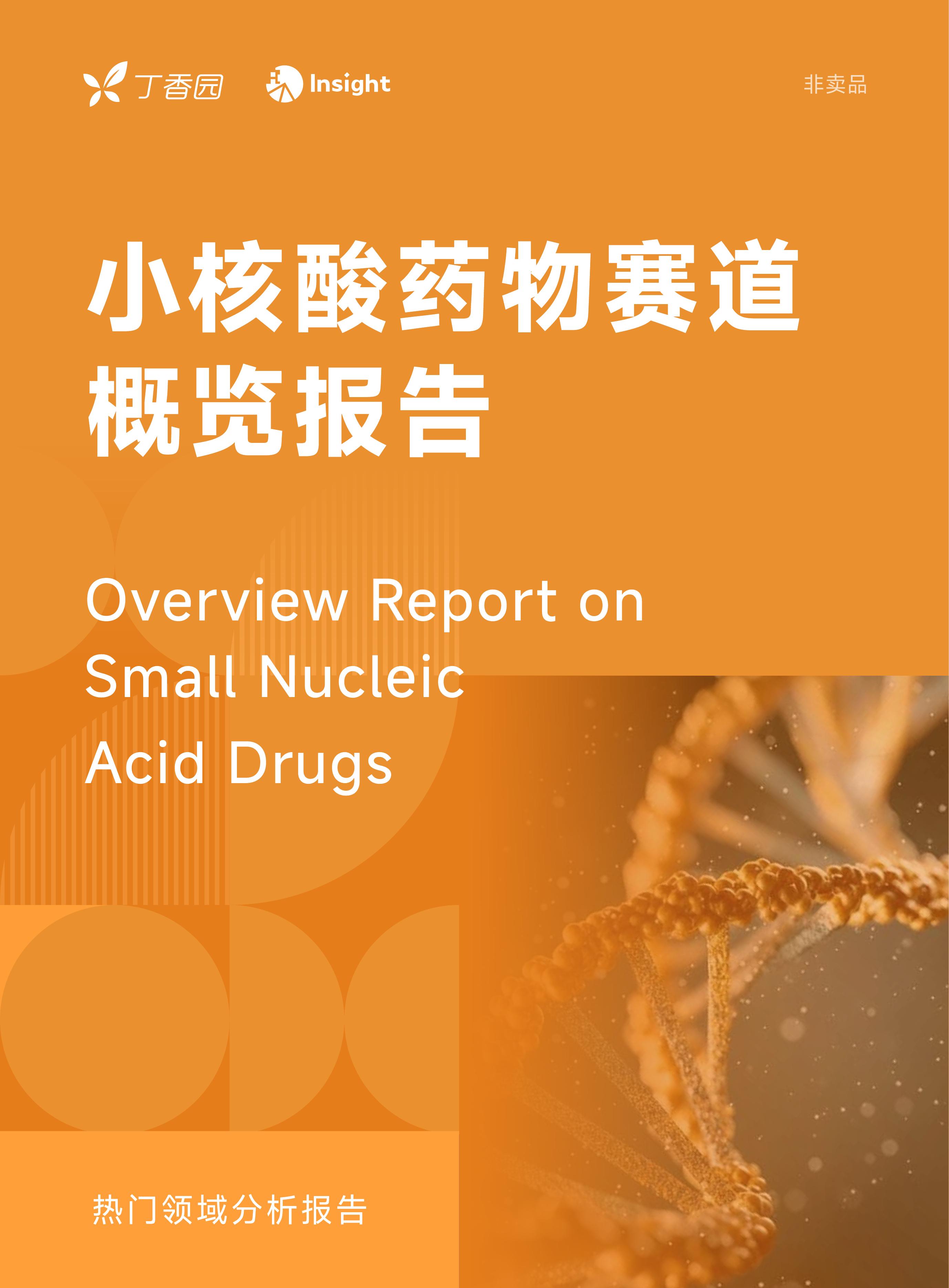 丁香园&Insight：2025年小核酸药物赛道概览报告海报