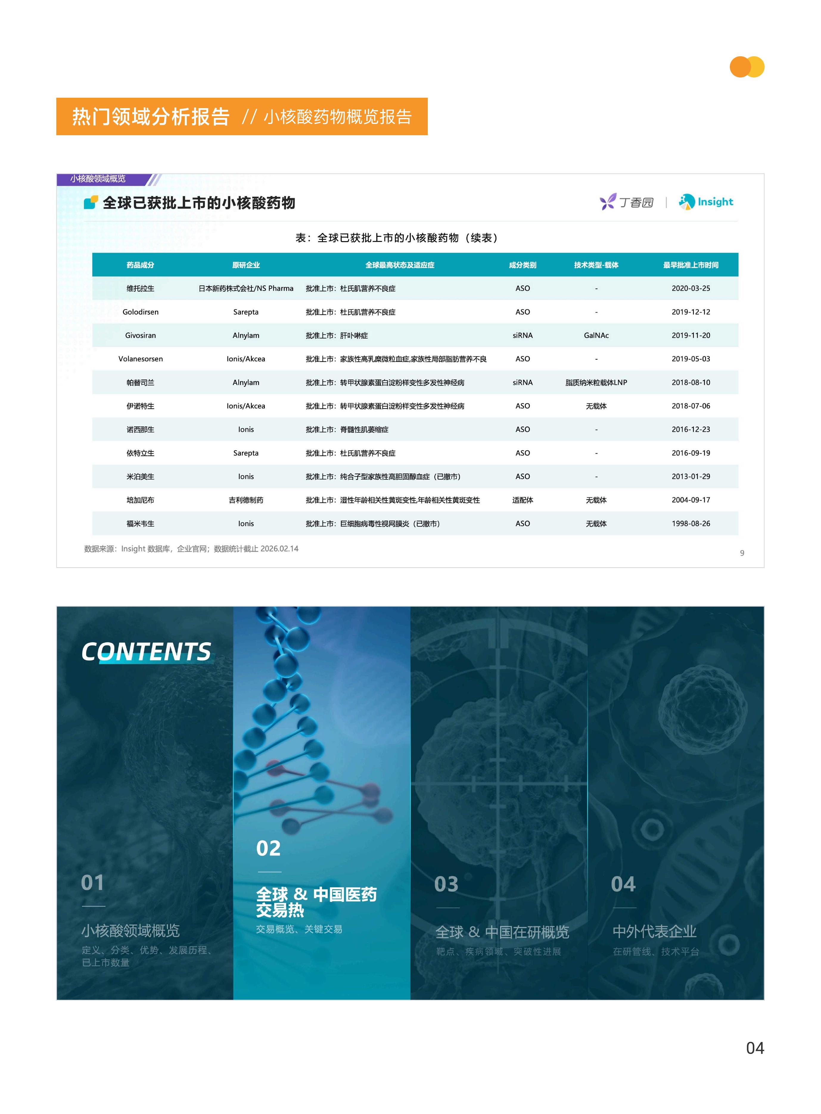丁香园&Insight：2025年小核酸药物赛道概览报告_第6页
