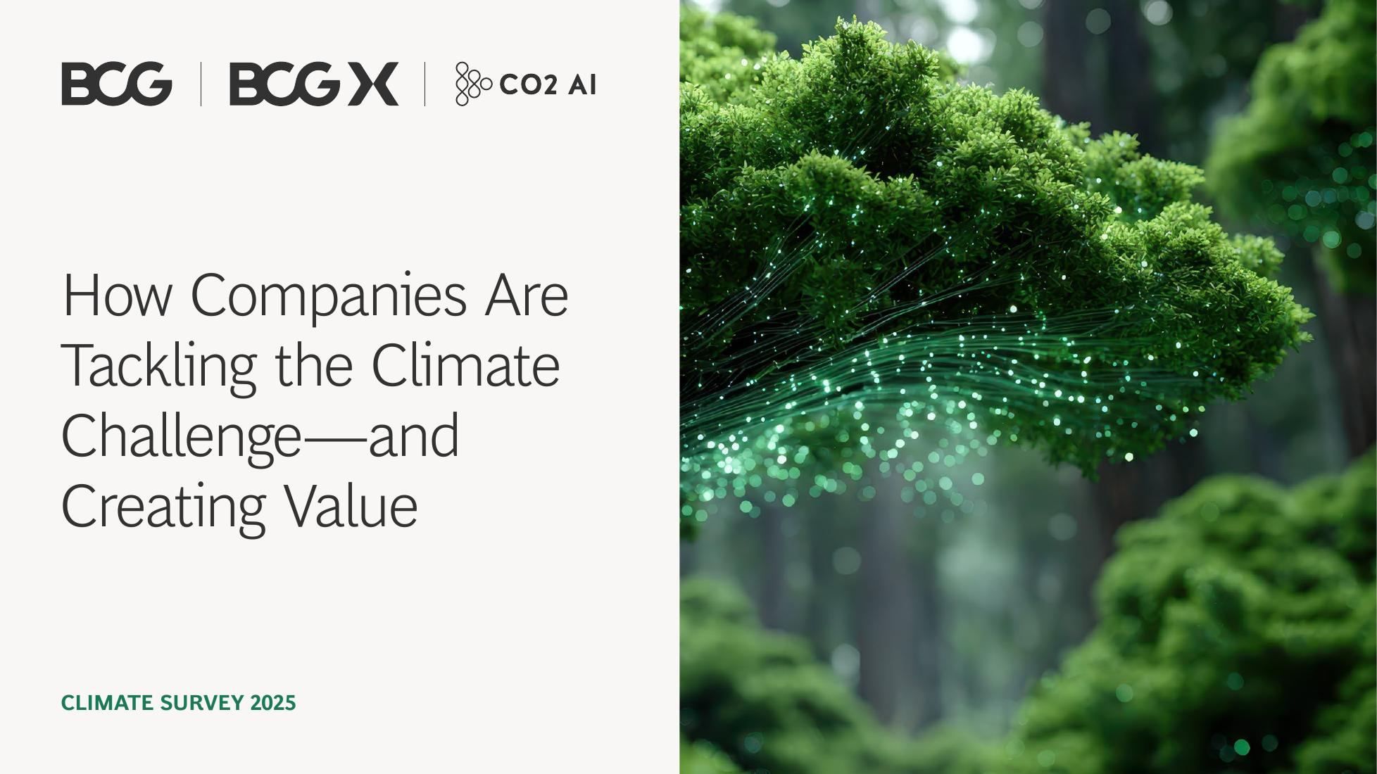 BCG波士顿咨询：2026年企业如何应对气候挑战并创造价值报告（英文版）海报