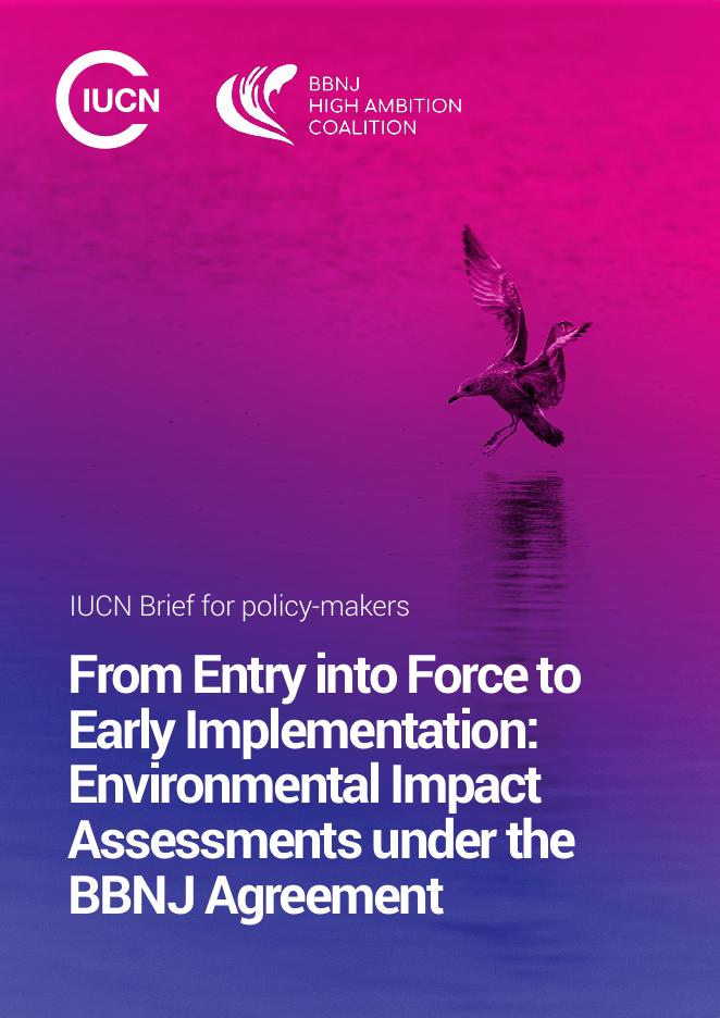 世界自然保护联盟IUCN：2026年从生效到早期实施：海洋生物多样性养护公约下的环境影响评估简报（英文版）海报