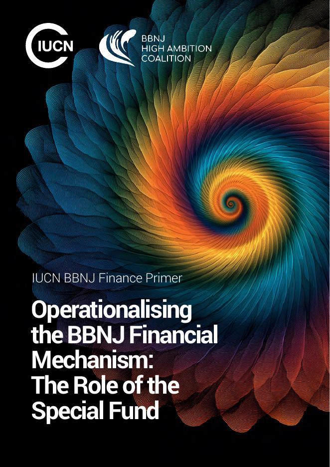 世界自然保护联盟IUCN：2026年将BBNJ金融机制操作化特殊基金的作用简报（英文版）海报