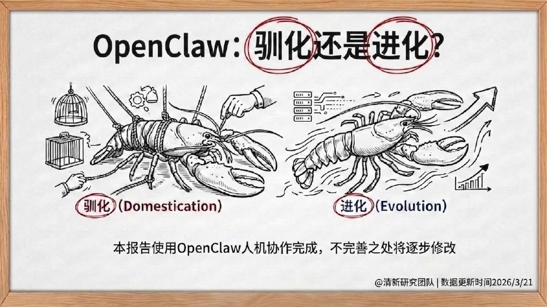 清新研究：2026年OpenClaw：驯化还是进化？海报