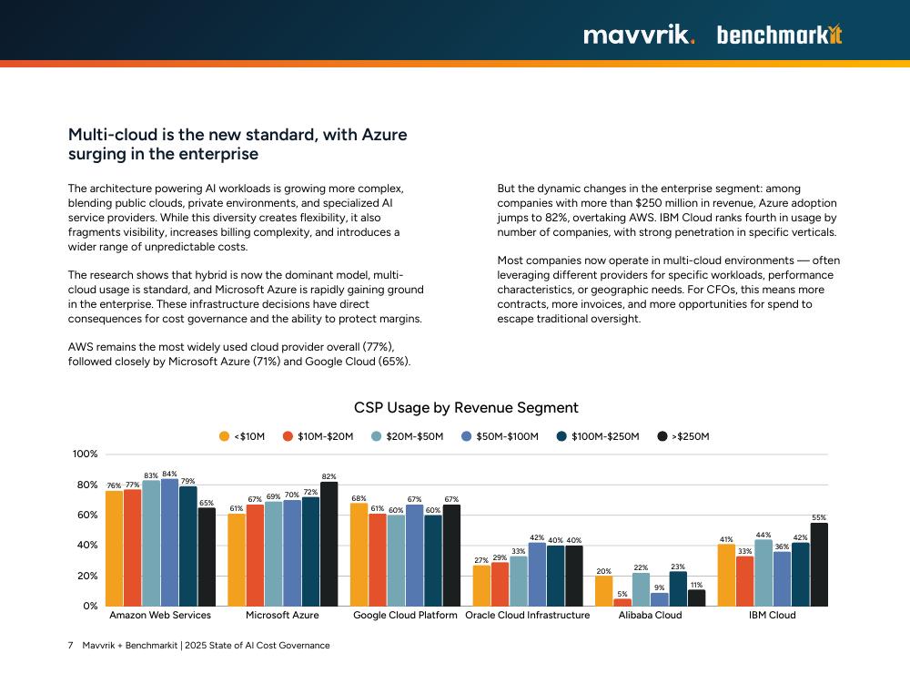 Mavvrik&BenchmarkIT：2025年人工智能成本治理状况报告（英文版）_第7页