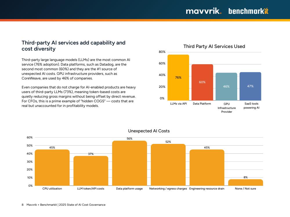 Mavvrik&BenchmarkIT：2025年人工智能成本治理状况报告（英文版）_第8页