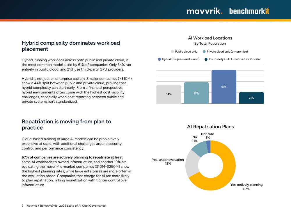 Mavvrik&BenchmarkIT：2025年人工智能成本治理状况报告（英文版）_第9页