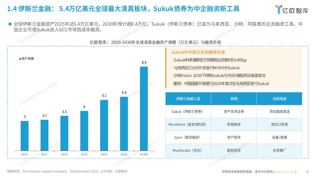 亿欧智库：全球清真产业与市场准入白皮书（2026）_第6页