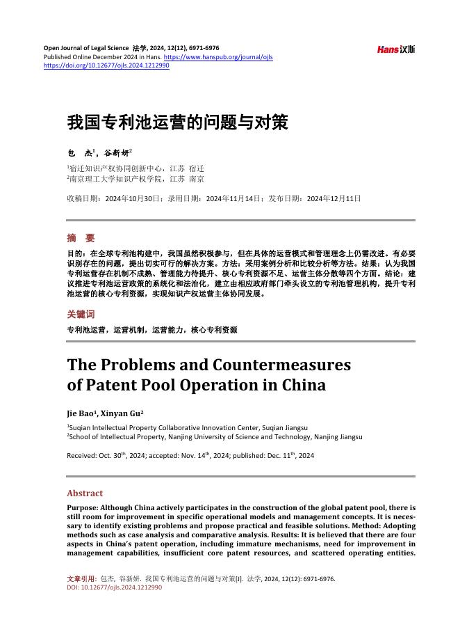 汉斯：我国专利池运营的问题与对策海报