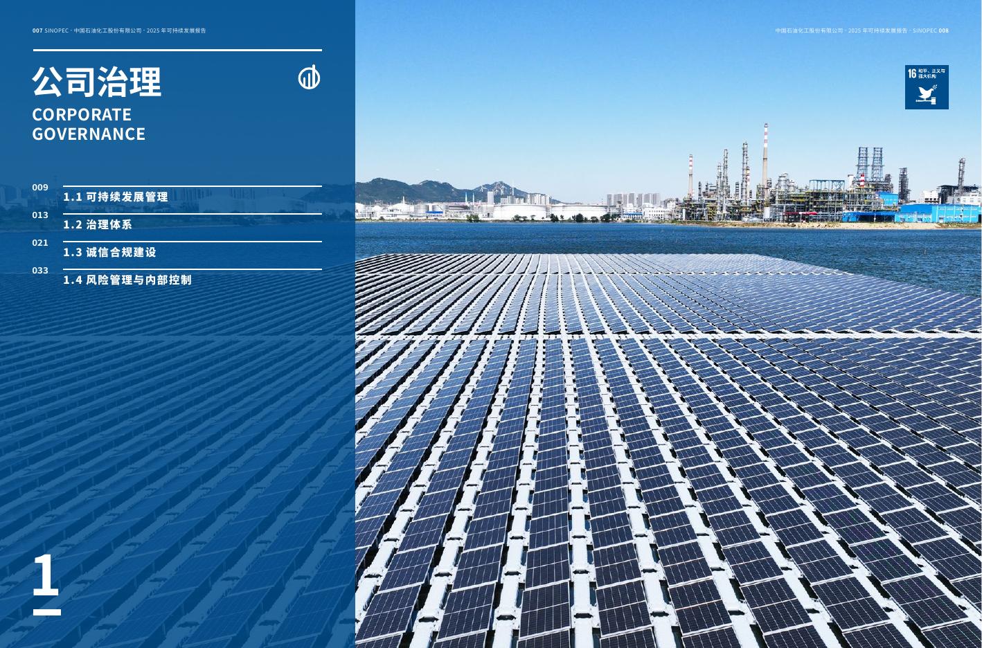 中国石化：2025年中国石化可持续发展报告_第6页