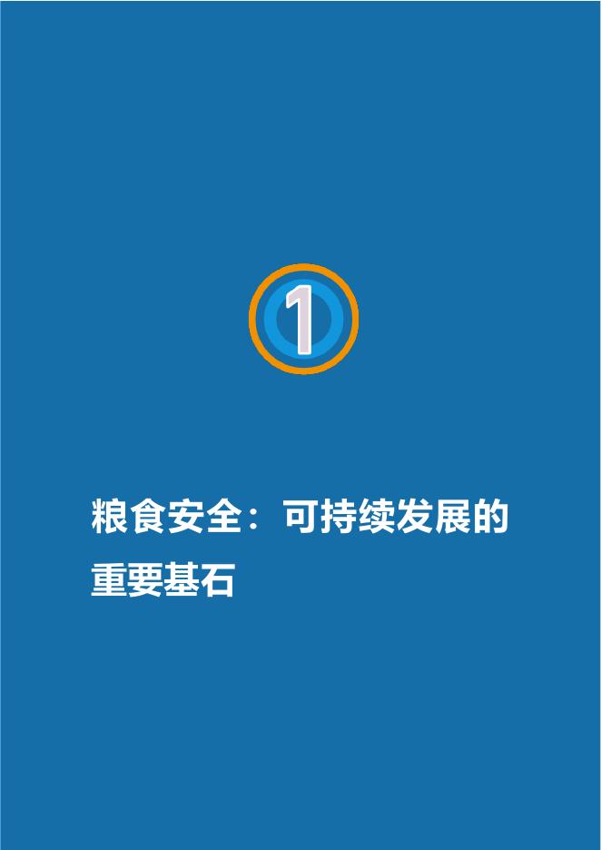 东南大学：2025年中国可持续发展研究报告_第7页