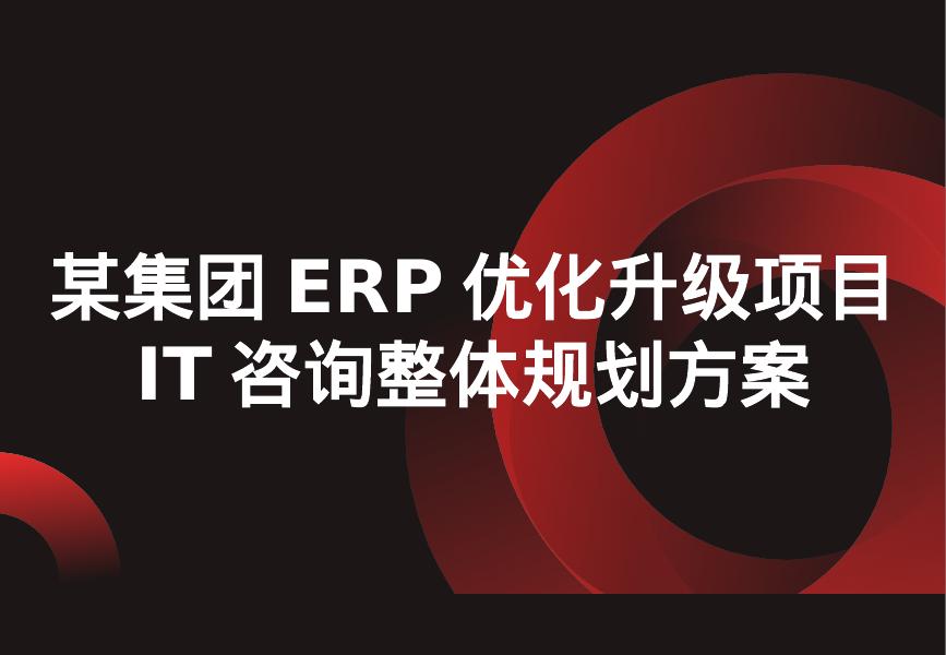德勤咨询：某大型集团ERP优化升级项目IT咨询整体规划方案海报