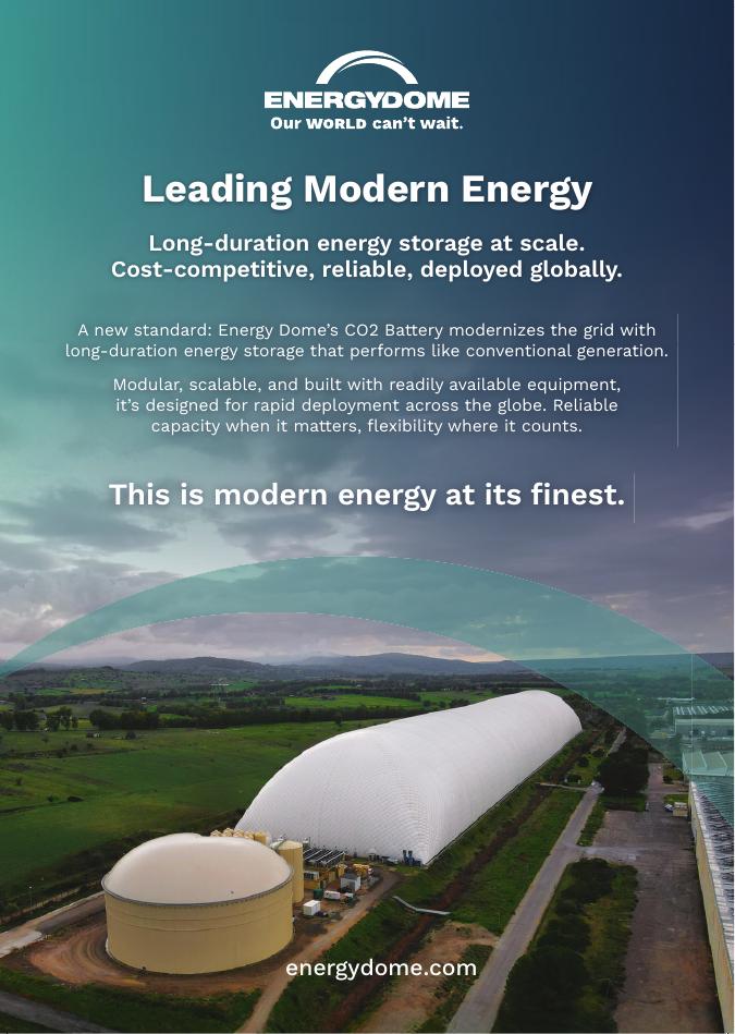 Energy Storage News：2026年储能报告：关键趋势、挑战与成就（英文版）_第9页
