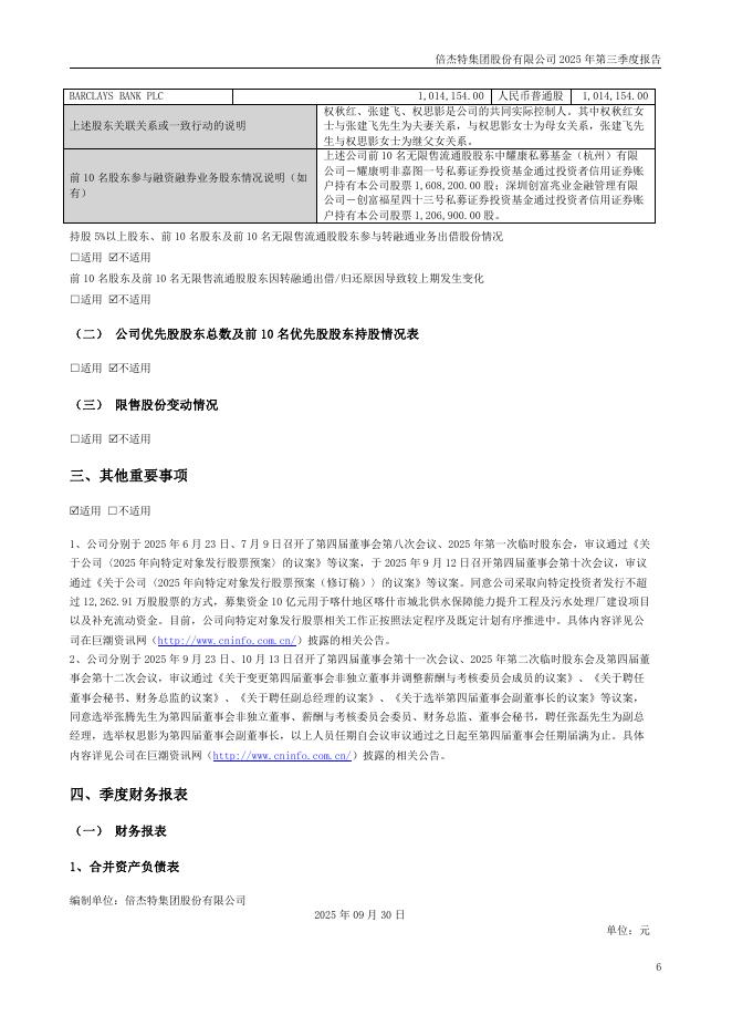 300774-倍杰特：倍杰特集团股份有限公司2025年第三季度报告_第6页