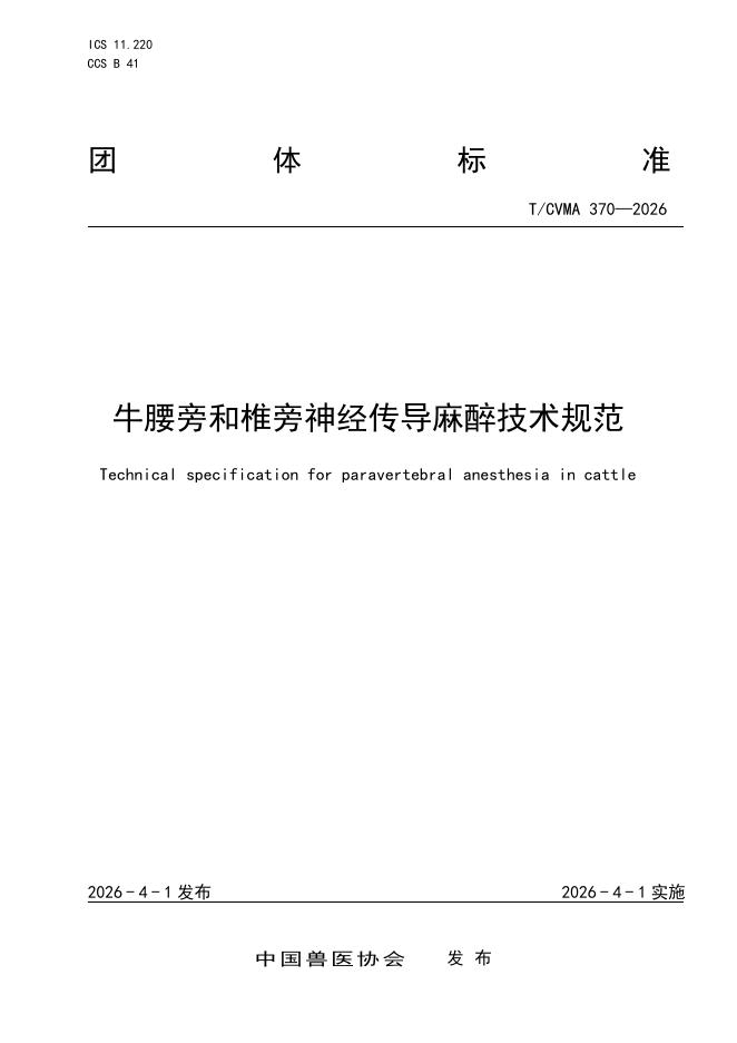T/CVMA 370-2026 牛腰旁和椎旁神经传导麻醉技术规范