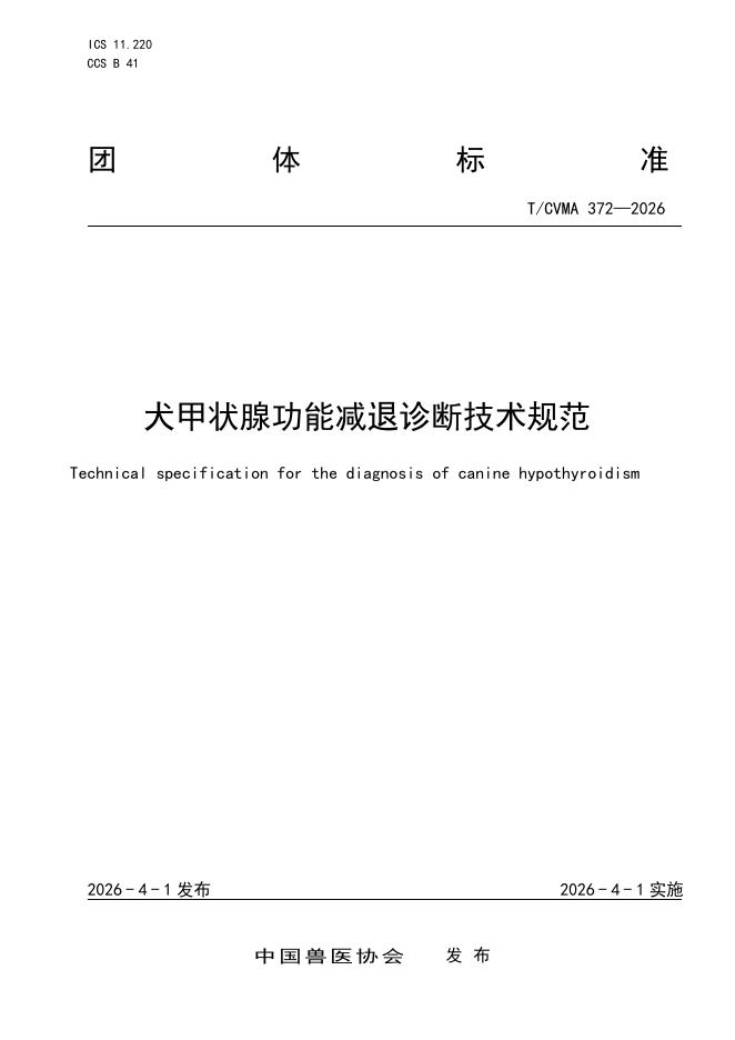 T/CVMA 372-2026 犬甲状腺功能减退诊断技术规范