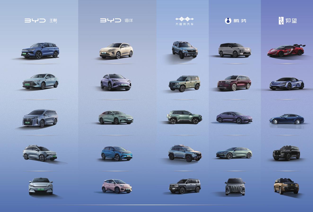 比亚迪股份有限公司2025年年报_第6页