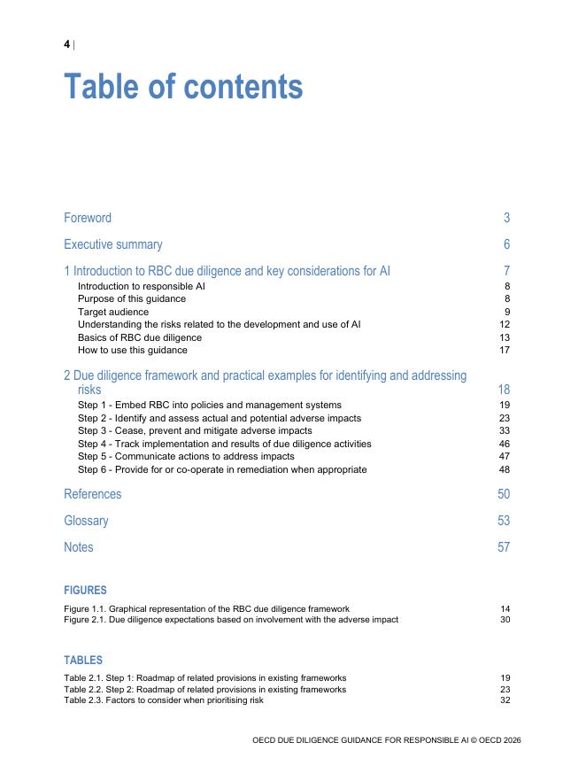 OECD经合组织：2026年负责任人工智能（AI）尽职调查指南报告（英文版）_第6页